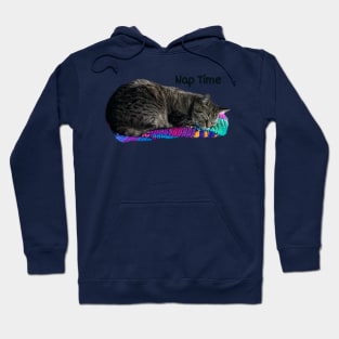 Nap Time Tabby Hoodie